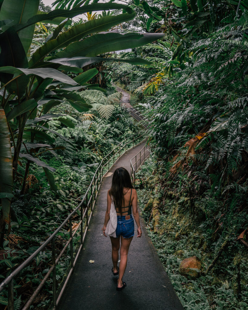 A complete guide to a week on the Big Island of Hawaii including the best beaches, waterfalls, hike, resorts, restaurants and more.