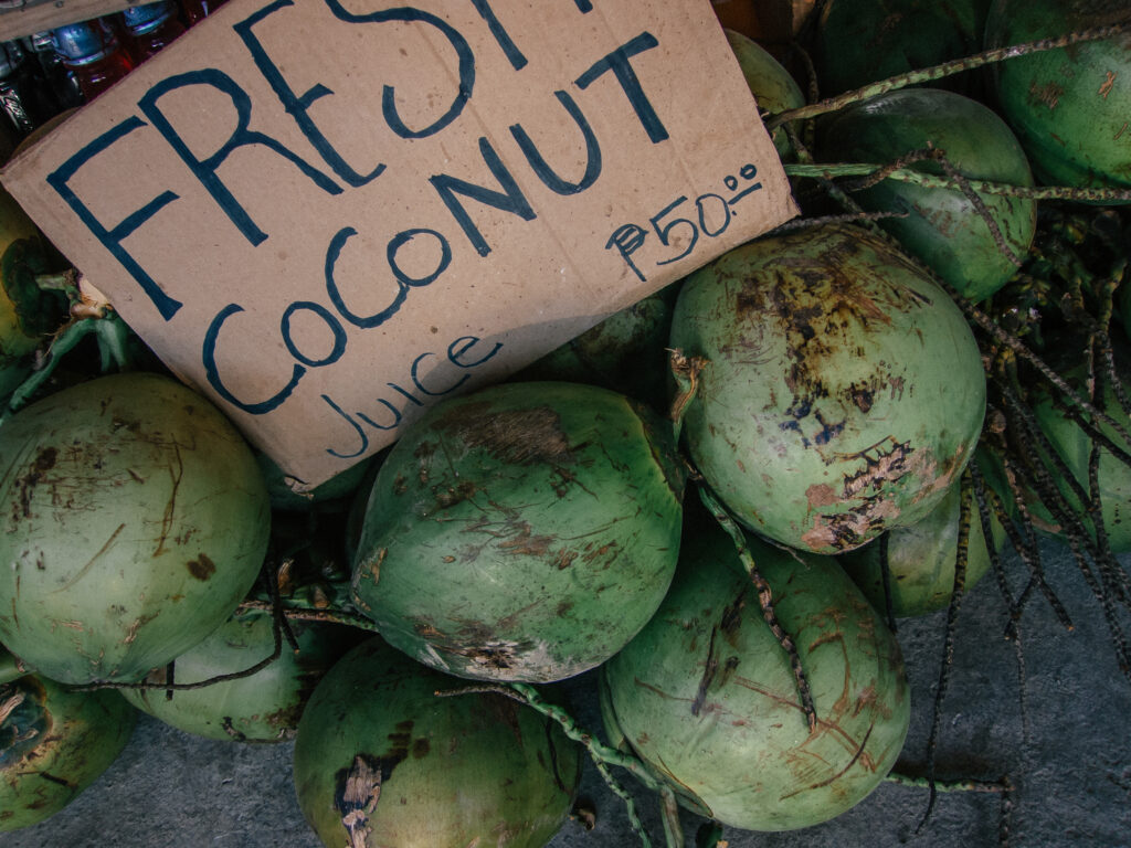 Fresh Coconuts Philippines
