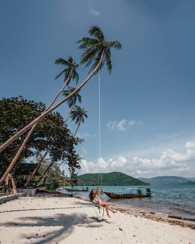 Island Palm Swing Thailand