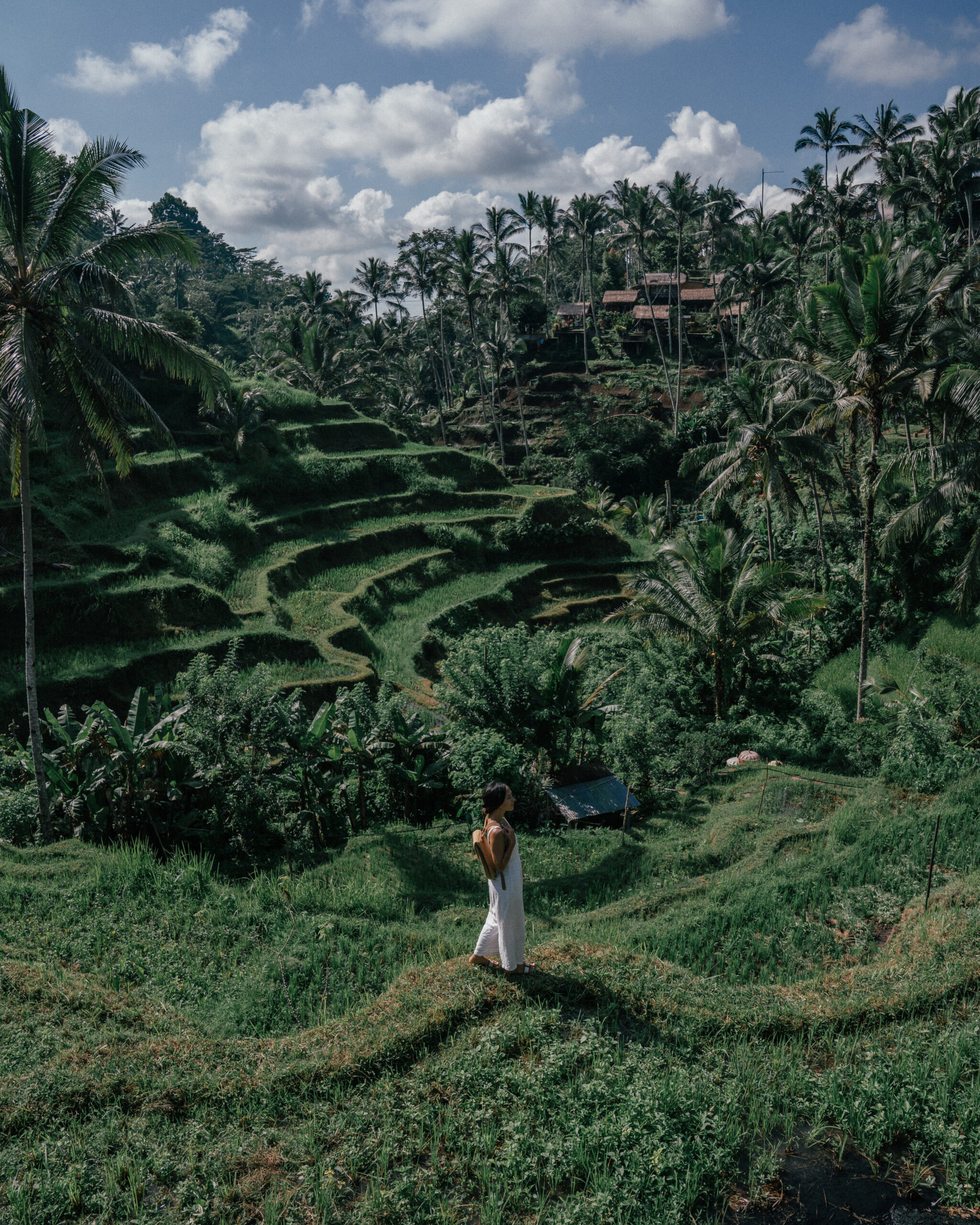 A complete travel guide to Ubud, Bali including the best places to visit, temples, waterfalls, markets, day trips, photo locations, hotels, restaurants, private guides and drivers, as well as a 5-day itinerary.