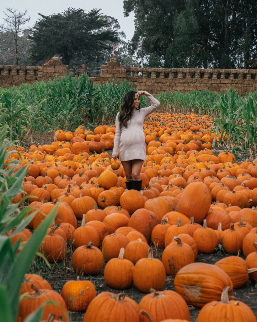 A complete guide to Halloween season in Half Moon Bay, California including the best pumpkin patches, hotels, restaurants and the Half Moon Bay Art + Pumpkin Festival. 