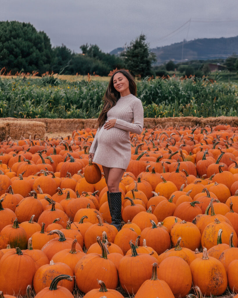 A complete guide to Halloween season in Half Moon Bay, California including the best pumpkin patches, hotels, restaurants and the Half Moon Bay Art + Pumpkin Festival. 