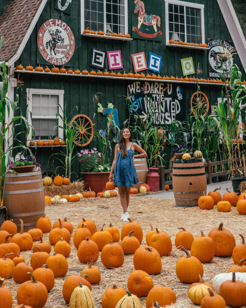 A complete guide to Halloween season in Half Moon Bay, California including the best pumpkin patches, hotels, restaurants and the Half Moon Bay Art + Pumpkin Festival. 