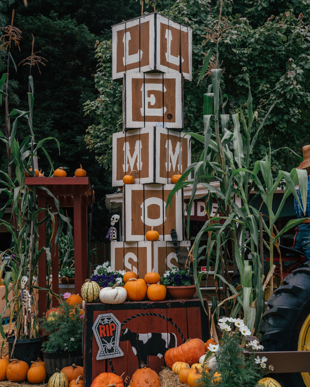 lemos farm on july 4