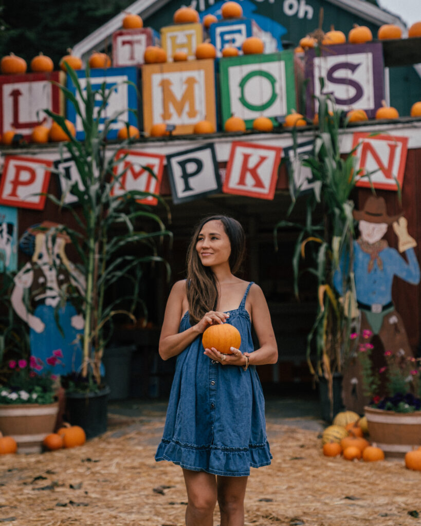 A complete guide to Halloween season in Half Moon Bay, California including the best pumpkin patches, hotels, restaurants and the Half Moon Bay Art + Pumpkin Festival. 