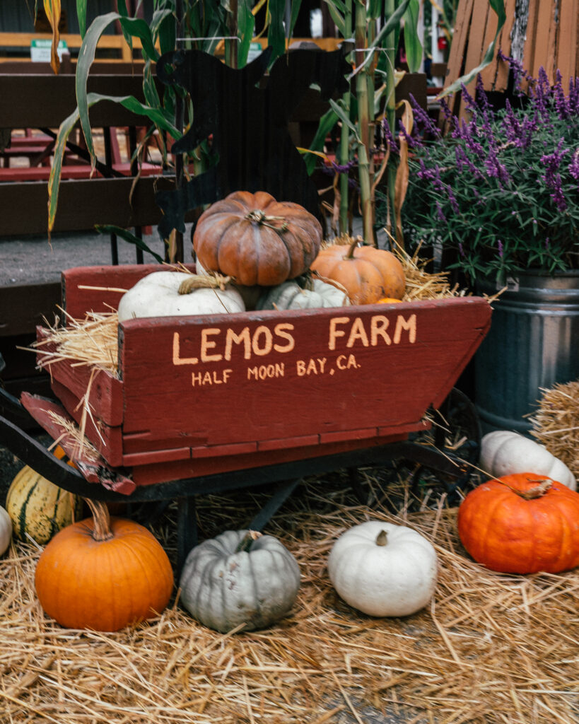 A complete guide to Halloween season in Half Moon Bay, California including the best pumpkin patches, hotels, restaurants and the Half Moon Bay Art + Pumpkin Festival. 