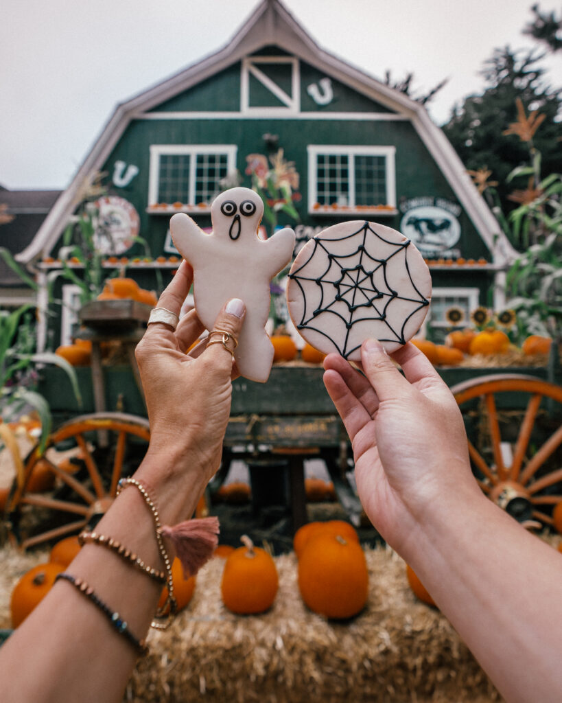 A complete guide to Halloween season in Half Moon Bay, California including the best pumpkin patches, hotels, restaurants and the Half Moon Bay Art + Pumpkin Festival. 