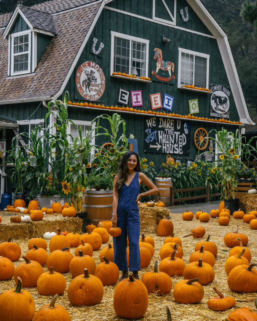 A complete guide to pumpkin season in Half Moon Bay, California including the best pumpkin patches, hotels, restaurants and the Half Moon Bay Art + Pumpkin Festival.
