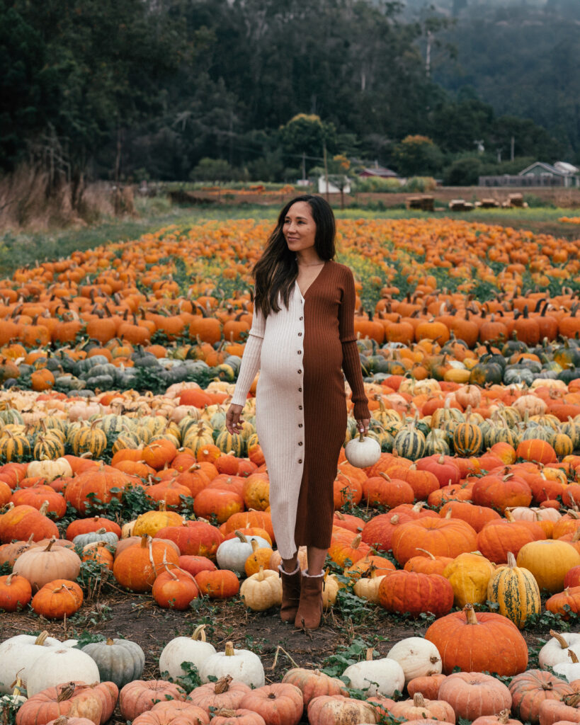 A complete guide to Halloween season in Half Moon Bay, California including the best pumpkin patches, hotels, restaurants and the Half Moon Bay Art + Pumpkin Festival. 