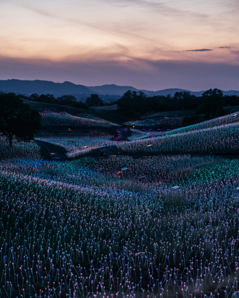 A complete travel guide to Paso Robles including the best places to visit, wineries, hotels, restaurants and Paso Robles photo locations.