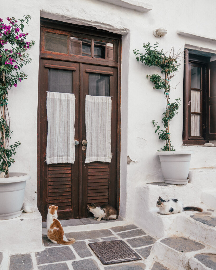 The ultimate travel guide to Sifnos, Greece including the best villages, viewpoints, beaches, hotels, bars, restaurants, Greek churches and more.