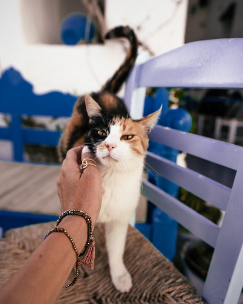 The ultimate guide to Serifos, Greece including the best places to visit, churches, beaches, hotels, villas, restaurants, bars and more.