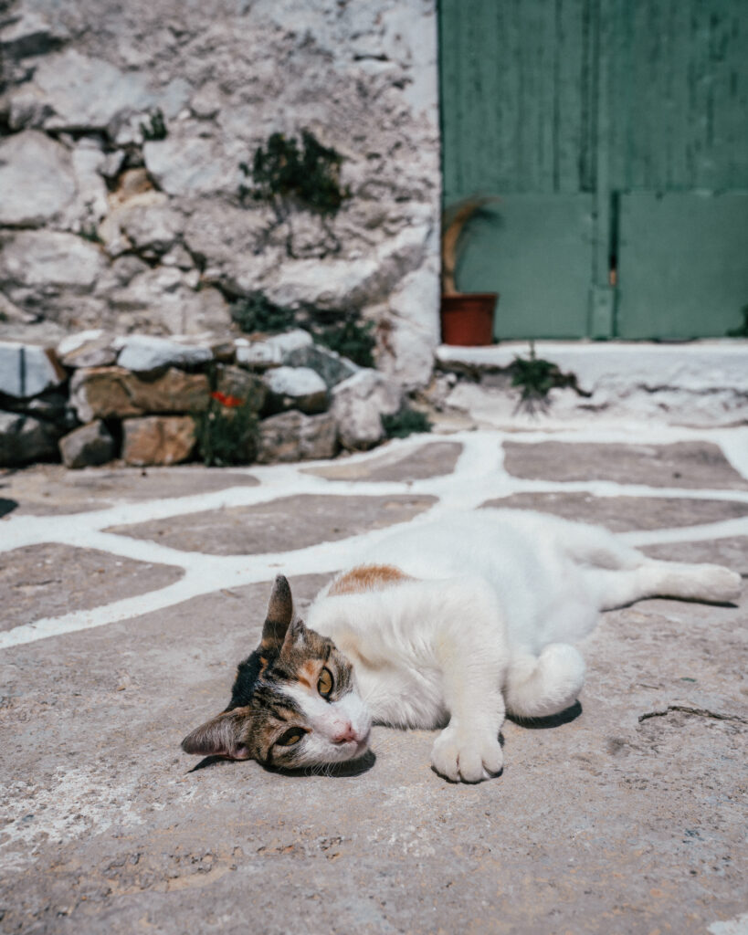 The ultimate guide to Serifos, Greece including the best places to visit, churches, beaches, hotels, villas, restaurants, bars and more.