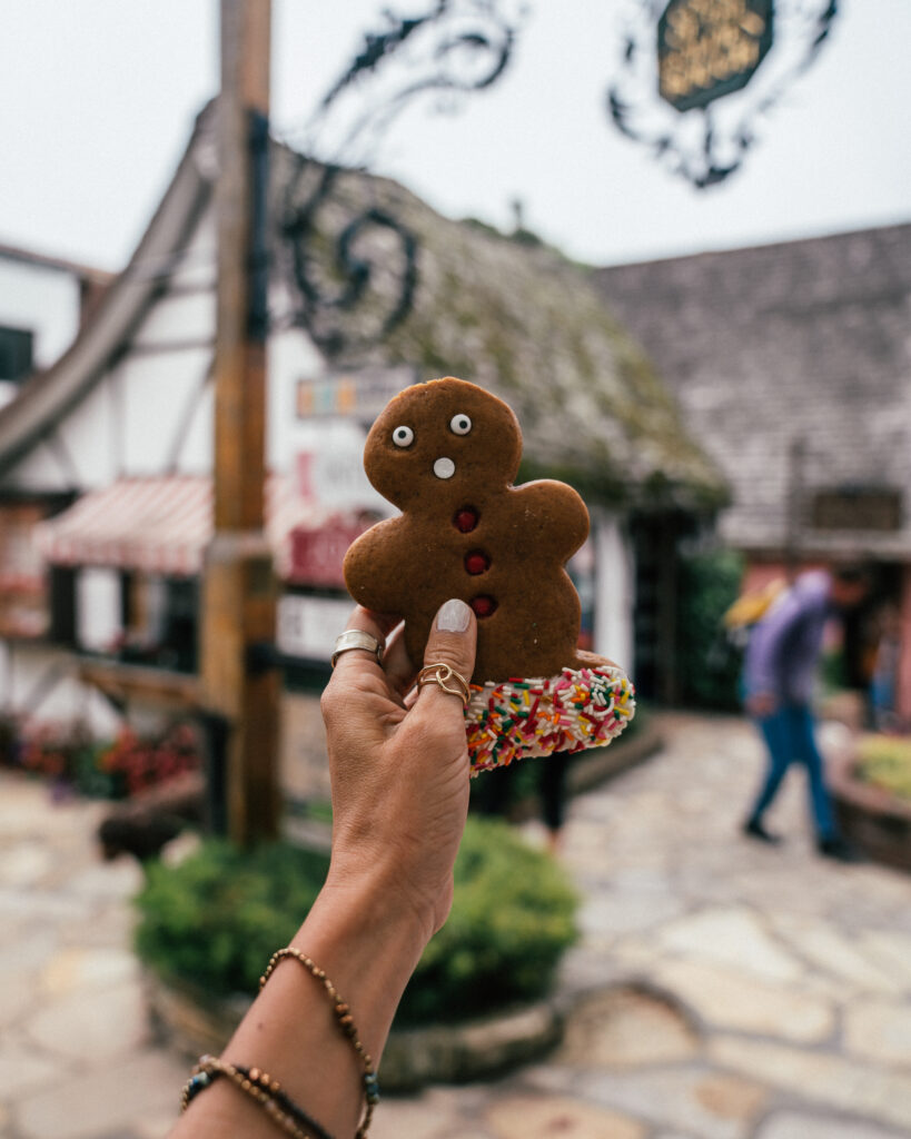 The ultimate travel guide to Carmel-by-the-Sea including the best places to visit, beaches, day trips, hotels, restaurants, Carmel photo locations and more.