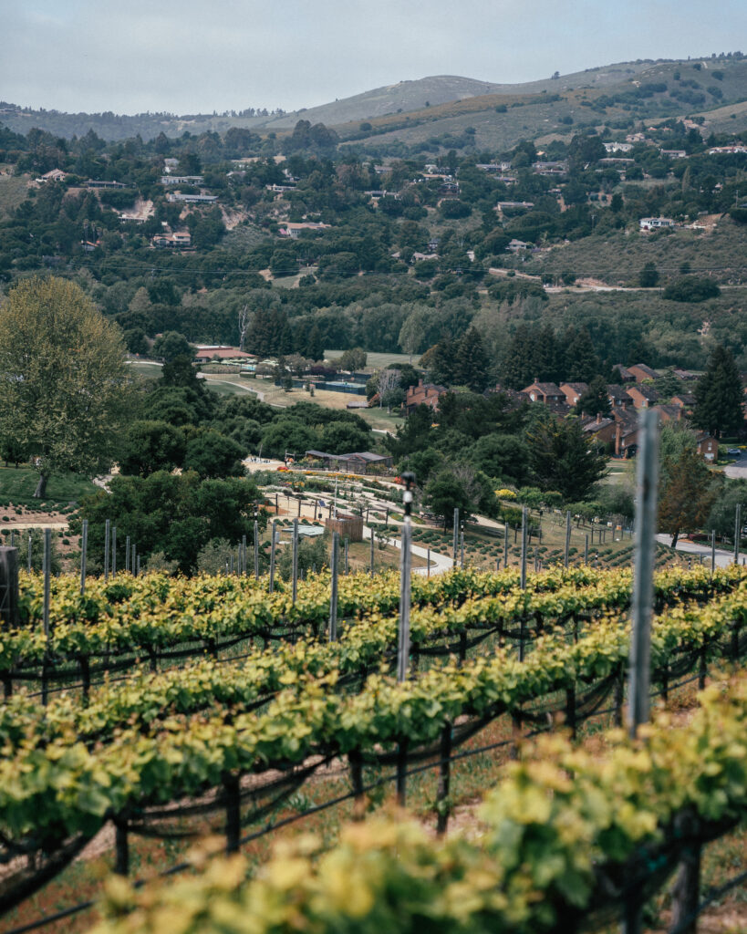 The ultimate travel guide to Carmel-by-the-Sea including the best places to visit, beaches, day trips, hotels, restaurants, Carmel photo locations and more.