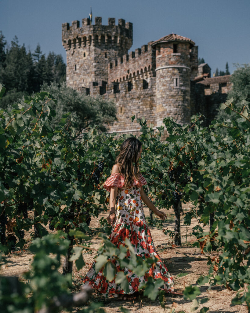 A complete guide to visiting Castillo di Amarossa, a Tuscan castle and winery in Napa Valley, California.