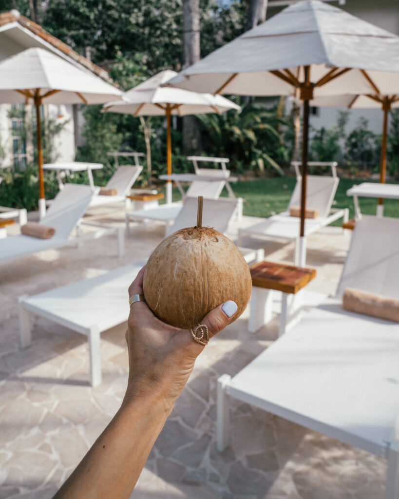 The ultimate travel guide to Santa Teresa, Costa Rica including the best things to do, surf spots, hikes, hotels, cafes, restaurants & more.