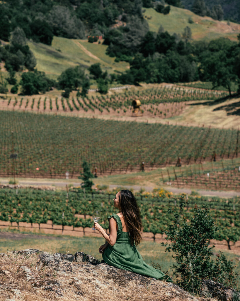 The ultimate travel guide to Napa Valley including the best places to visit, prettiest wineries, hotels, restaurants, travel tips and more.