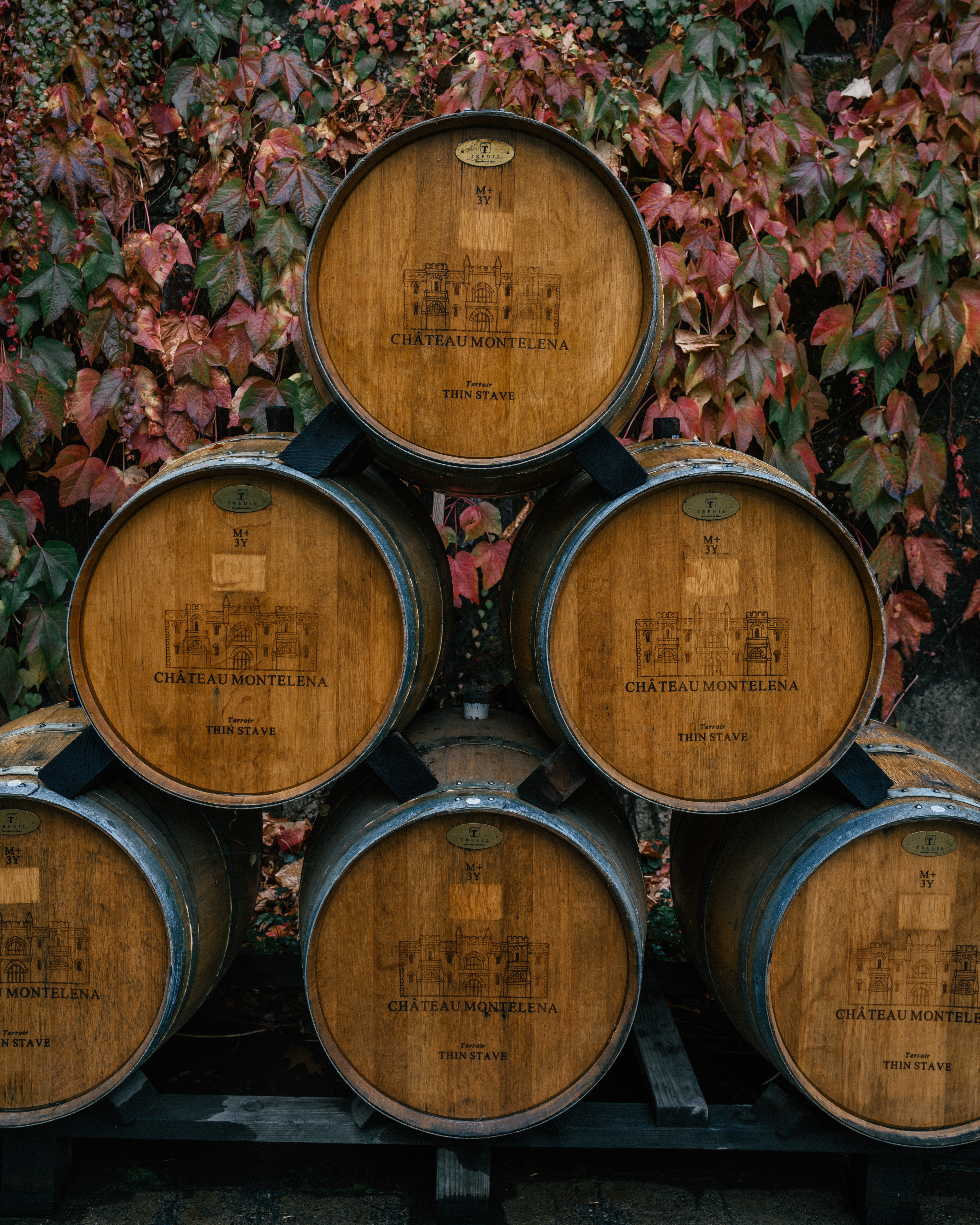 The ultimate travel guide to Napa Valley including the best places to visit, prettiest wineries, hotels, restaurants, travel tips and more.